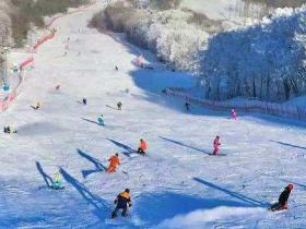 冰雪產業風口下，黑龍江能否揚帆乘勢而上？