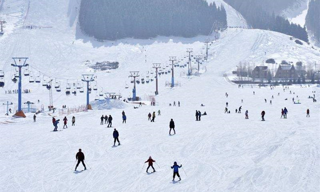 建一個小型滑雪場大概需要多少錢？